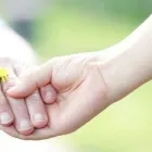 Yrityksen 2 kuva AMALIA KOTIPALVELUT  Kuopio 15