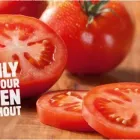 Yrityksen 5 kuva BURGER KING ESPOO, ISO OMENA  Espoo 18