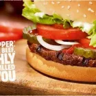 Yrityksen 1 kuva BURGER KING OULU, ROTUAARI  Oulu 14