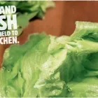 Yrityksen 3 kuva BURGER KING OULU, ROTUAARI  Oulu 14