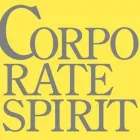 Yrityksen 1 kuva CORPORATE SPIRIT OY Markkina- ja mielipidetutkimukset  Turku 19