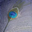 Yrityksen 3 kuva DESIGN GARDIN  Oulu 14