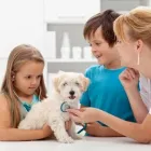 Yrityksen 1 kuva ELÄINLÄÄKÄRIASEMA PET-AMI OY Eläinlääkintäpalvelut  Jyväskylä 08