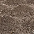 Yrityksen 1 kuva ELON SORA JA SEPELI OY MURSKAAMO Tieliikenteen tavarankuljetus  Salo 19