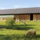 Yrityksen 2 kuva FIGMENTOR OY  Turku 19