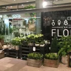 Yrityksen 6 kuva FLÖR KUKKA & PUUTARHA SKANSSI Puutarha-alan vähittäiskauppa  Turku 19
