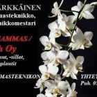 Yrityksen 7 kuva HAMMASLABORATORIO CERATECH / KRUUNUHAMMAS OY -SEPPO KÄRKKÄINEN  Kuopio 15