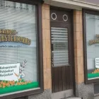Yrityksen 1 kuva HAMMASLABORATORIO TAPIO VALLI OY Hammasproteesien, keinohampaiden ym. valmistus  Mikkeli 04