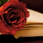 Yrityksen 1 kuva HAUTAUSPALVELU PIETÉT OY Hautaustoimistojen palvelut  Helsinki 18