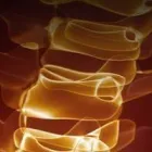 Yrityksen 2 kuva HIEROJA ORPANA OLLI Muu terveyspalvelu  Turku 19