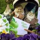 Yrityksen 5 kuva HIERONTASTUDIO GREEN APPLE  Turku 19