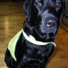 Yrityksen 1 kuva HOME VOC OY  Espoo 18