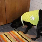 Yrityksen 2 kuva HOME VOC OY  Espoo 18