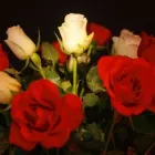 Yrityksen 1 kuva HYVINKÄÄN SEURAKUNTA RAUHANNUMMEN HAUTAUSMAA  Hyvinkää 18