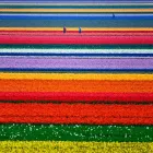 Yrityksen 1 kuva ILLMER ARTO ERKKI KARL HEINZ Metsänhoito  Rauma 17