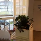 Yrityksen 1 kuva ILMAJOEN YRITYSPALVELU OY / KATE-LASKENTA Kirjanpito- ja tilinpäätöspalvelu  Ilmajoki 03
