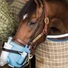 Yrityksen 4 kuva INTERNATIONAL HACIENDA OY Urheilualan tukkukauppa  Hyvinkää 18