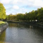 Yrityksen 1 kuva ISÄNNÖITSIJÄTOIMISTO MIKKO ARO OY  Turku 19