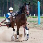 Yrityksen 2 kuva JALKINEKORJAAMO PS SUUTARIT OY Jalkineiden ja nahkatavaroiden korjaus  Kuopio 15