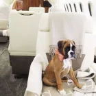 Yrityksen 3 kuva JETFLITE OY Tilauslentoliikenne  Vantaa 18