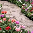 Yrityksen 2 kuva JO-BO TMI Rakennuspaikan valmistelutyöt  Ravijoki 09