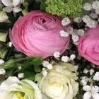 Yrityksen 2 kuva JORVIN KUKKA JA LAHJA, JORVIN SAIRAALA  Espoo 18