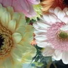 Yrityksen 3 kuva JORVIN KUKKA JA LAHJA, JORVIN SAIRAALA  Espoo 18