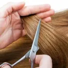 Yrityksen 3 kuva KAMPIN TUKKA-TRIO Parturit ja kampaamot  Helsinki 18