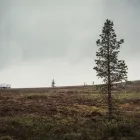 Yrityksen 2 kuva KAUKOKIITO RAUMA Varastointi  Rauma 17