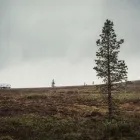 Yrityksen 9 kuva KAUKOKIITO VARKAUS Tieliikenteen tavarankuljetus  Varkaus 15