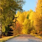 Yrityksen 4 kuva KIELIKOTKA KY  Vantaa 18