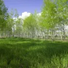 Yrityksen 5 kuva KIELIKOTKA KY  Vantaa 18