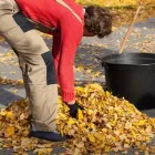 Yrityksen 2 kuva KIINTEISTÖHOITO NURMIKKO Kiinteistönhoito  Loimaa 19