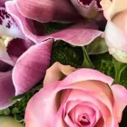 Yrityksen 1 kuva KIVIMAAN KUKKA Kukkien vähittäiskauppa  Lahti 16