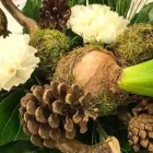 Yrityksen 3 kuva KIVIMAAN KUKKA Kukkien vähittäiskauppa  Lahti 16