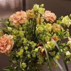 Yrityksen 8 kuva KLUUVIN KUKKA  Helsinki 18