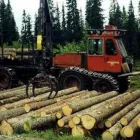 Yrityksen 2 kuva KONE HIETALA OY Puunkorjuu  Kuusamo 14