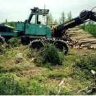 Yrityksen 3 kuva KONE HIETALA OY Puunkorjuu  Kuusamo 14