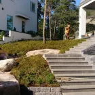 Yrityksen 1 kuva KUHMON KUNTTAPIHA  Lentiira 05