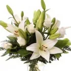 Yrityksen 2 kuva KUKKA-BUKETT Kukkien vähittäiskauppa  Oulu 14