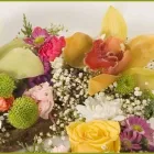 Yrityksen 7 kuva KUKKA-BUKETT Kukkien vähittäiskauppa  Oulu 14