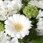 Yrityksen 3 kuva KUKKA JA TAIDE Kukkien vähittäiskauppa  Oulu 14