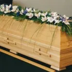 Yrityksen 1 kuva KUKKAKAUPPA KUKKA-LUNARIA OY  Kuopio 15