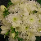 Yrityksen 3 kuva KUKKAKAUPPA KUKKA-LUNARIA OY  Kuopio 15