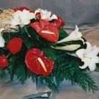 Yrityksen 5 kuva KUKKAKAUPPA KUKKA-LUNARIA OY  Kuopio 15