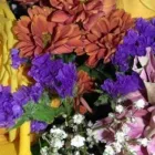 Yrityksen 7 kuva KUKKAKAUPPA KUKKA-LUNARIA OY  Kuopio 15