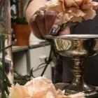 Yrityksen 8 kuva KUKKAKAUPPA KUKKA-LUNARIA OY  Kuopio 15