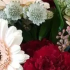 Yrityksen 1 kuva KUKKAKAUPPA TULIKUKKA  Vantaa 18