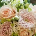 Yrityksen 3 kuva KUKKAKAUPPA TULIKUKKA  Vantaa 18