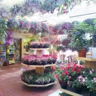 Yrityksen 1 kuva KUKKATARHA KOSKINEN OY Kukkien vähittäiskauppa  Lahti 16